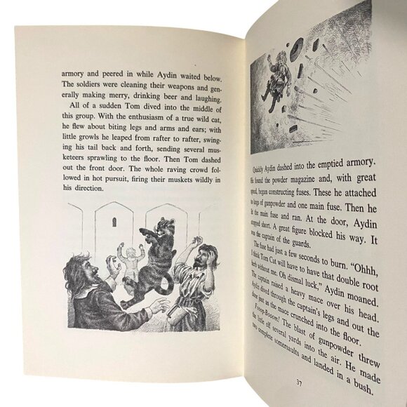 The Cat and the Flying Machine Hardcover Laszlo Kubinyi Middle Grade Fiction - Picture 6 of 7